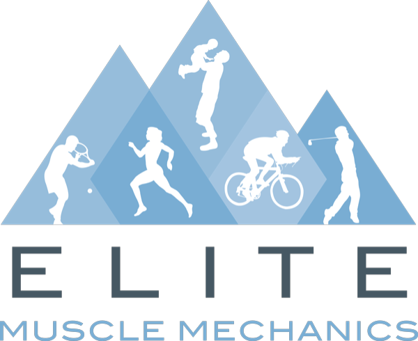 Elite Muscle Mechanics logo